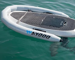 Waydoo Flyer Pod